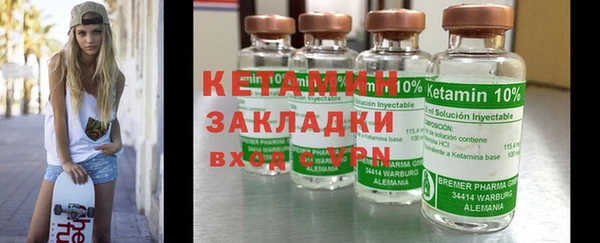 прущие грибы Новозыбков