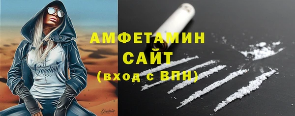 прущие грибы Новозыбков