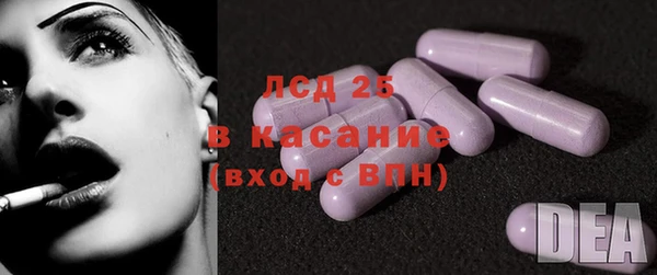прущие грибы Новозыбков