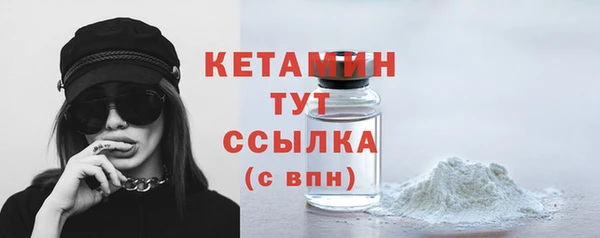 прущие грибы Новозыбков