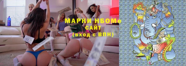 прущие грибы Новозыбков