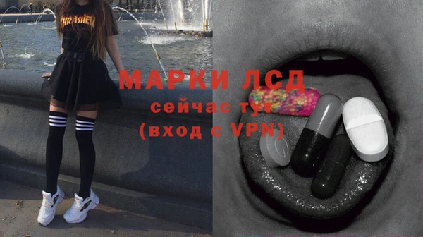 прущие грибы Новозыбков