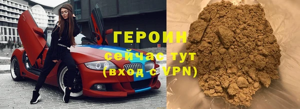 прущие грибы Новозыбков