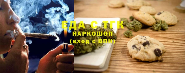 прущие грибы Новозыбков